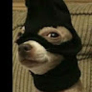 Meet your Posher, Aiden